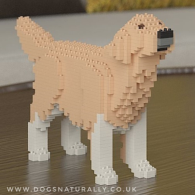 Golden Retriever (Wag) Jekca Available in 3 Colours & 2 Sizes